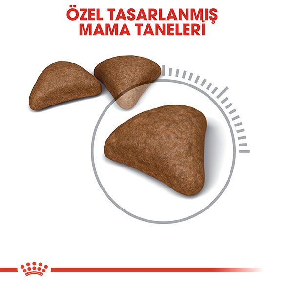 ROYAL CANİN CAT HAİRBALL 2 KG*6